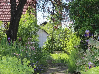 Ferienwohnung für 3 Personen (40 m²) in Balingen 8/10
