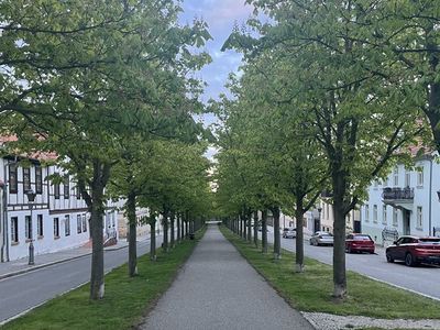 Ferienwohnung für 4 Personen (80 m²) in Ballenstedt 5/10