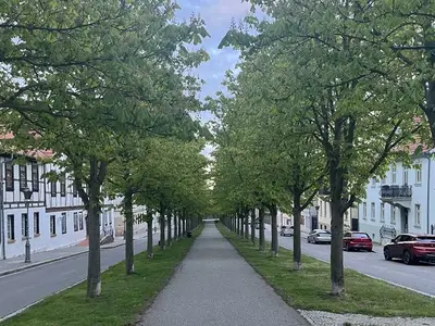 Ferienwohnung für 4 Personen (80 m²) in Ballenstedt 5/10