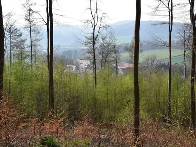 Ferienwohnung für 2 Personen (37 m²) in Balve 2/10