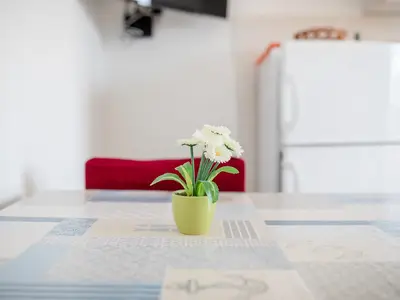 Ferienwohnung für 4 Personen (55 m²) in Banjol 2/10
