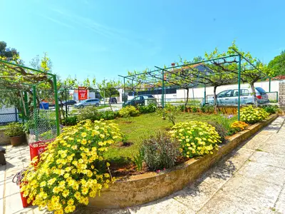 Ferienwohnung für 4 Personen (40 m²) in Banjole 3/10