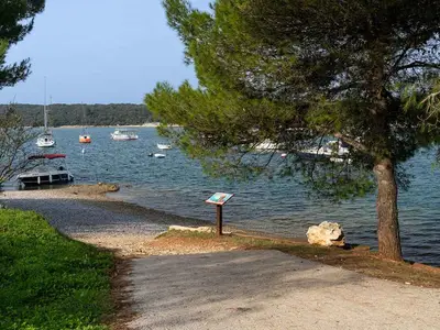 Ferienwohnung für 4 Personen (56 m²) in Banjole 3/10