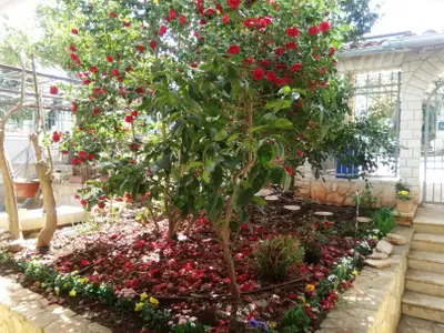 Ferienwohnung für 4 Personen (79 m²) in Banjole 7/10