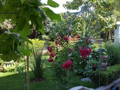 Ferienwohnung für 3 Personen (48 m²) in Banjole 10/10