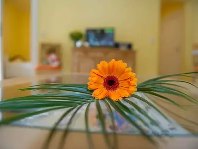 Ferienwohnung für 4 Personen (32 m²) in Bansin (Seebad) 9/10