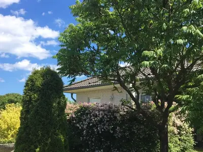 Ferienwohnung für 2 Personen (35 m²) in Bansin (Seebad) 4/10