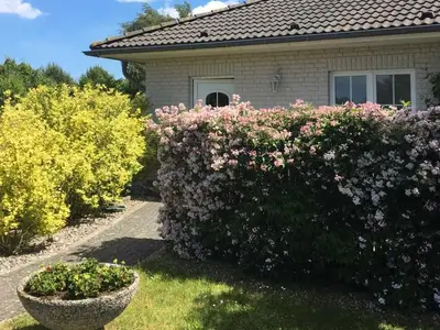 Ferienwohnung für 2 Personen (35 m²) in Bansin (Seebad) 9/10
