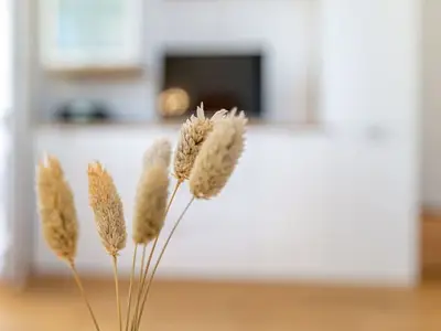 Ferienwohnung für 4 Personen (50 m²) in Bansin (Seebad) 7/10