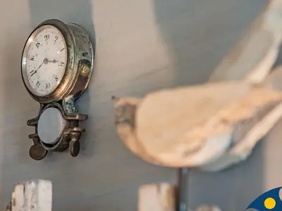 Ferienwohnung für 3 Personen (56 m²) in Bansin (Seebad) 10/10