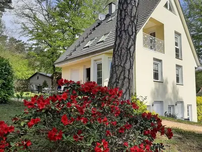 Ferienwohnung für 2 Personen (25 m²) in Bansin (Seebad) 9/10