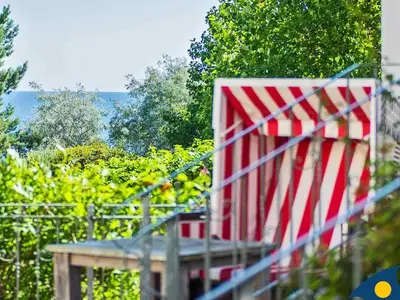 Ferienwohnung für 3 Personen (35 m²) in Bansin (Seebad) 7/10