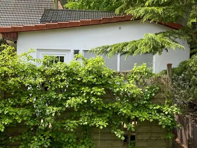 Ferienwohnung für 2 Personen (40 m²) in Bansin (Seebad) 5/10