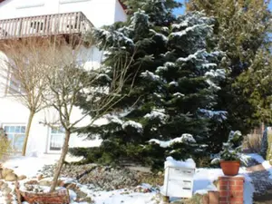 Ferienwohnung für 2 Personen (40 m²) in Bansin (Seebad)