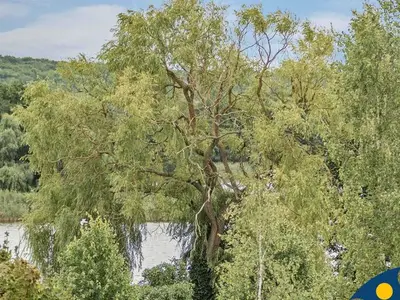 Ferienwohnung für 4 Personen (56 m²) in Bansin (Seebad) 6/10