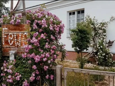 Ferienwohnung für 4 Personen (60 m²) in Bansin (Seebad) 3/10
