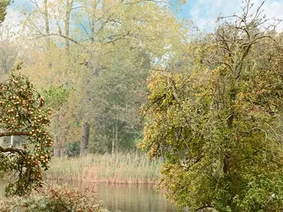 Ferienwohnung für 6 Personen (63 m²) in Bansin (Seebad) 10/10