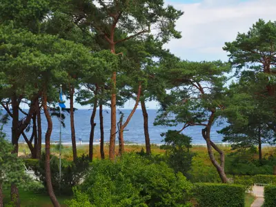 Ferienwohnung für 3 Personen (75 m²) in Bansin (Seebad) 10/10