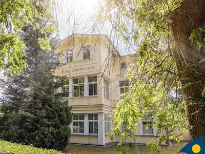 Ferienwohnung für 5 Personen (50 m²) in Bansin (Seebad) 4/10