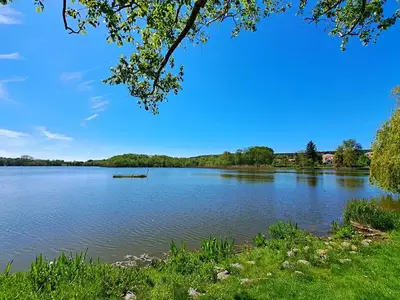 Ferienwohnung für 4 Personen (50 m²) in Bansin (Seebad) 5/10