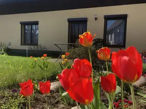 Ferienwohnung für 4 Personen (54 m²) in Banzkow