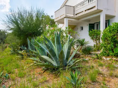 Ferienwohnung für 3 Personen (42 m²) in Barbat Na Rabu 1/10