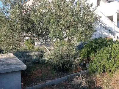 Ferienwohnung für 3 Personen (42 m²) in Barbat Na Rabu 3/10