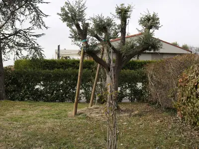 Ferienwohnung für 6 Personen (70 m²) in Bardolino 6/10