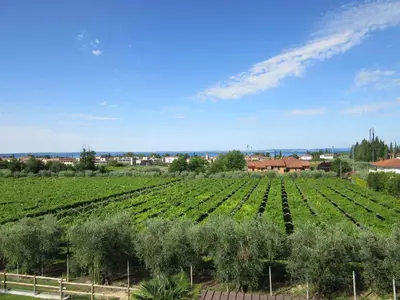 Ferienwohnung für 2 Personen (25 m²) in Bardolino 10/10