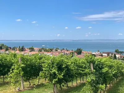 view-from-room