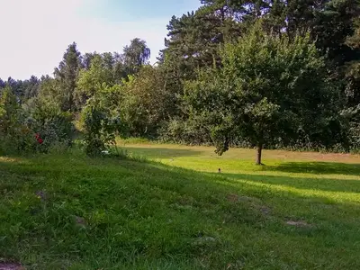 Ferienwohnung für 7 Personen (54 m²) in Barhöft 6/10