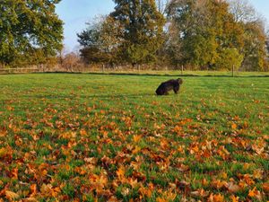 22796349-Ferienwohnung-2-Barkenholm-300x225-4