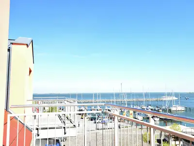 ViewSummer