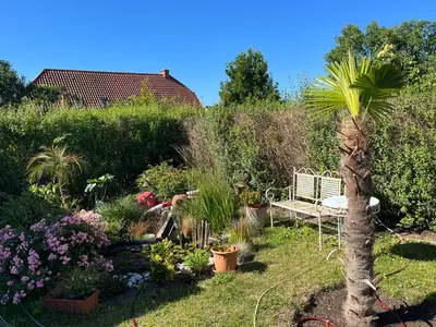 Ferienwohnung für 4 Personen (44 m²) in Barth 10/10