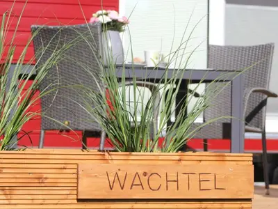Ferienwohnung für 2 Personen (15 m²) in Barth 9/10