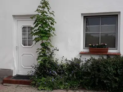 Ferienwohnung für 4 Personen (45 m²) in Barth 8/10