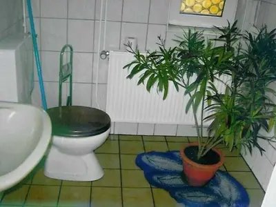 Ferienwohnung für 2 Personen (40 m²) in Barth 6/10