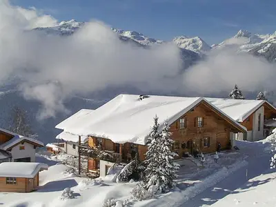 Winter verschneit