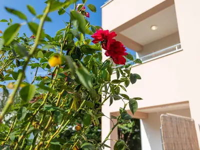 Ferienwohnung für 5 Personen (50 m²) in Baška 6/10