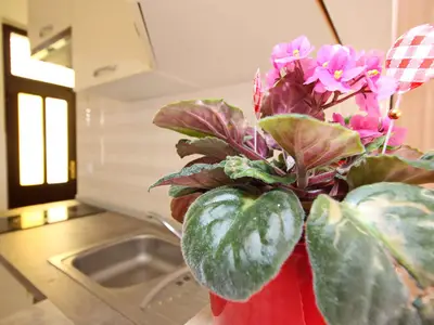 Ferienwohnung für 2 Personen (25 m²) in Baška 8/10