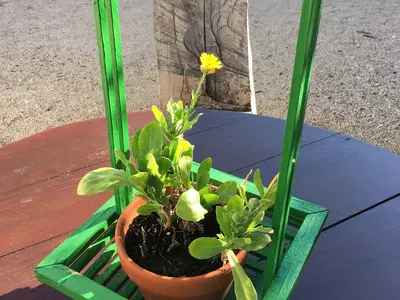 Ferienwohnung für 4 Personen (30 m²) in Baška 6/10