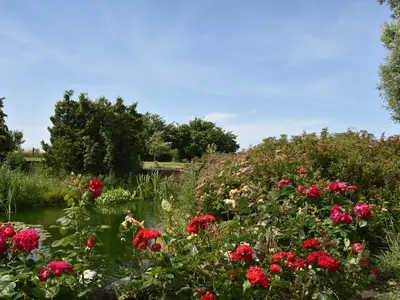 GardenSummer