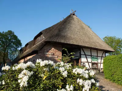 Ferienwohnung für 6 Personen (55 m²) in Bastorf 5/8