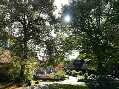 Ferienwohnung für 6 Personen (55 m²) in Bastorf 7/8