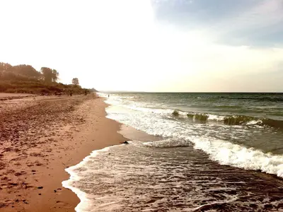 Ferienwohnung für 4 Personen (51 m²) in Bastorf 4/10