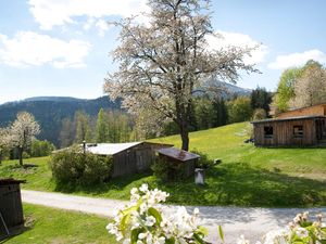 18702351-Ferienwohnung-4-Bayerisch Eisenstein-300x225-4