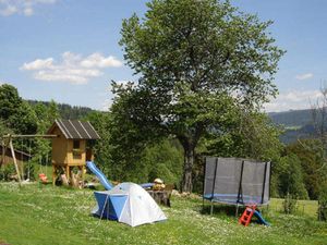 22143345-Ferienwohnung-4-Bayerisch Eisenstein-300x225-5