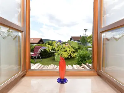 ViewSummer