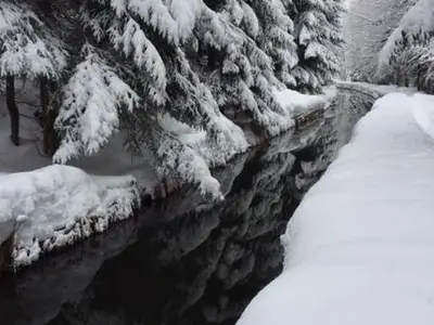 Schweizer Häusl