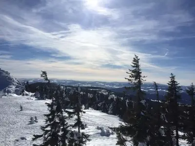 Schweizer Häusl